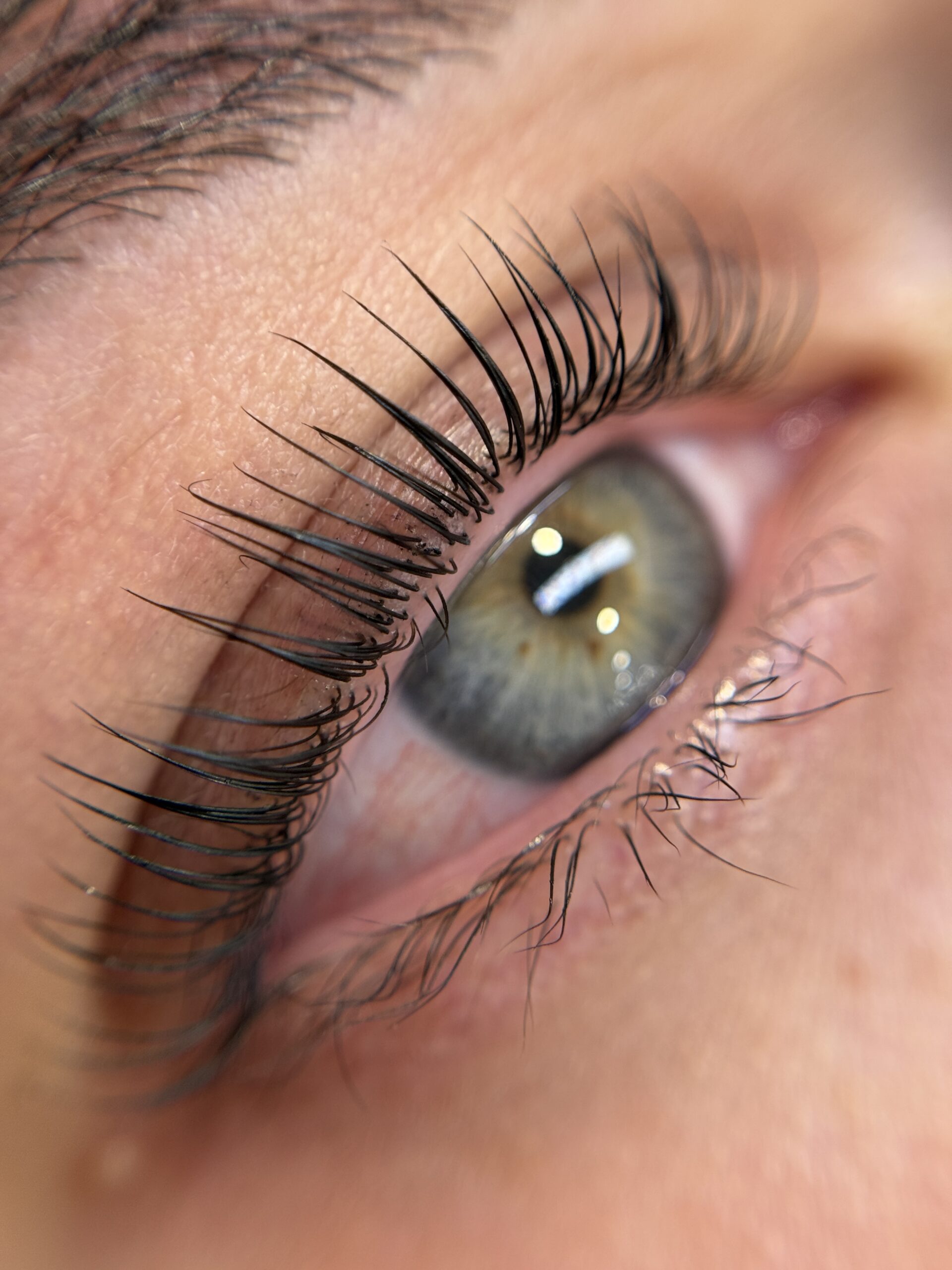 Lashlift Coréen
